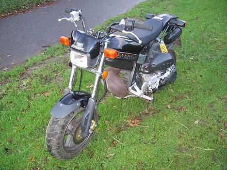 Suzuki Street magic( byttet ) billede 2