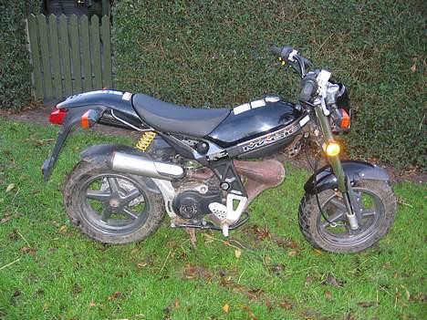 Suzuki Street magic( byttet ) billede 6