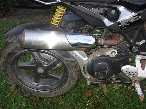 Suzuki Street magic( byttet ) billede 7