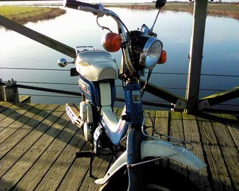 Suzuki Suzi FZ 50 billede 3