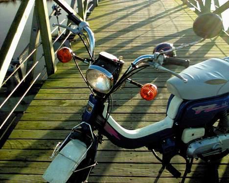 Suzuki Suzi FZ 50 billede 5