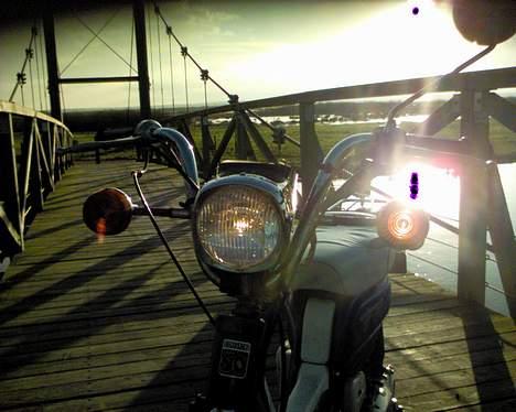 Suzuki Suzi FZ 50 billede 8