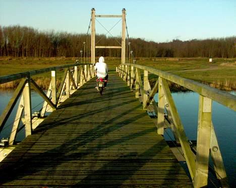 Suzuki Suzi FZ 50 billede 9