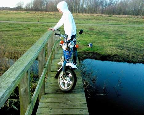 Suzuki Suzi FZ 50 billede 12