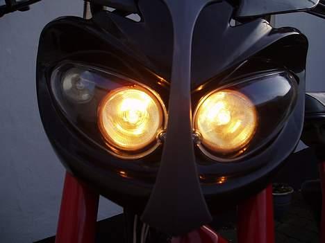 Puch Maxi P1 billede 14