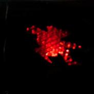 Honda  SFX [ solgt ]