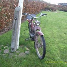 Puch ms50 
