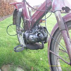 Puch ms50 