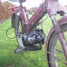 Puch ms50 