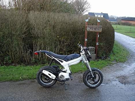 Suzuki Street magic [BYTTET] billede 8