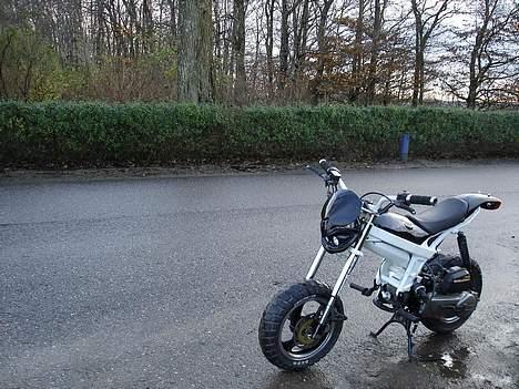 Suzuki Street magic [BYTTET] billede 10