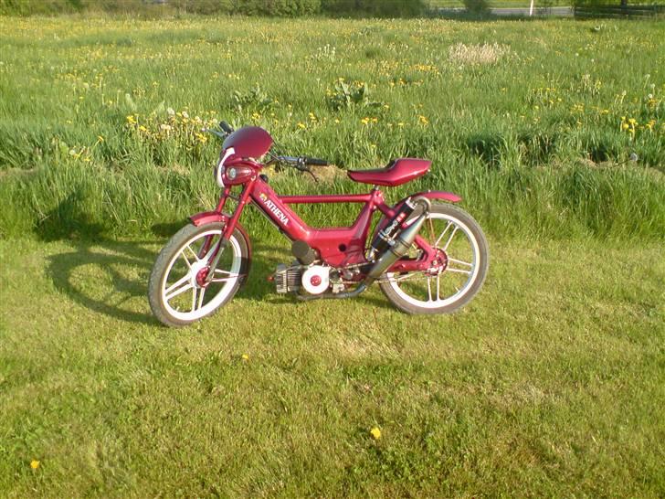 Puch Maxi 2g !!Tjek den ud!! billede 3
