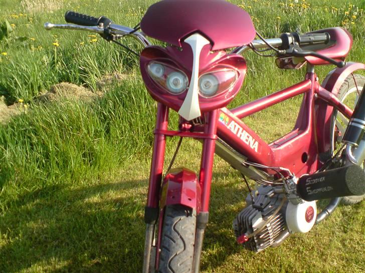 Puch Maxi 2g !!Tjek den ud!! billede 7