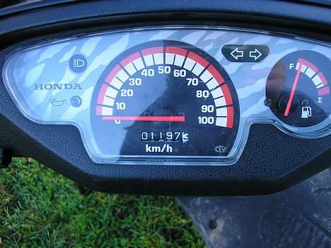 Honda Sfx Solgt billede 6