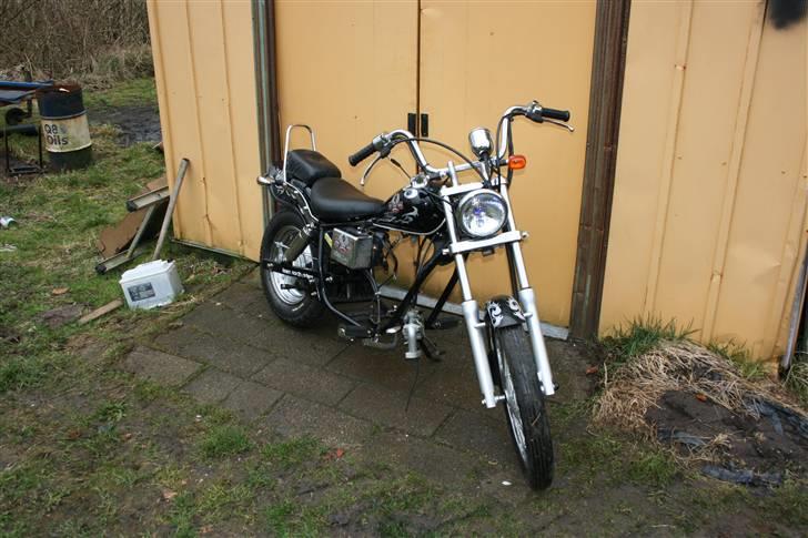 Regal Raptor SOLGT - nye billeder kommer snart og den er tilsalg billede 1