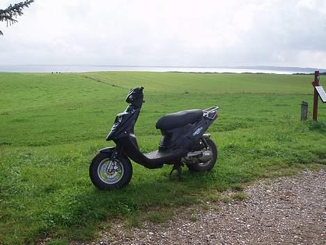 PGO hot 50 solgt billede 7