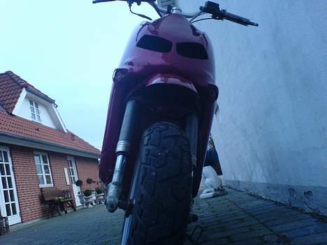 Aprilia rally byttet til ssm - er hun ikke bare skøn billede 4