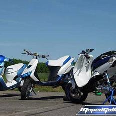 Gilera Stalker (SOLGT)