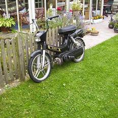 Puch Maxi plus SOLGT