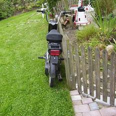 Puch Maxi plus SOLGT