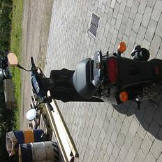 PGO hot 50