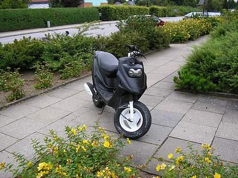 PGO Hot 50 *solgt* billede 3