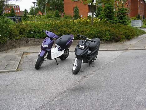 PGO Hot 50 *solgt* billede 6