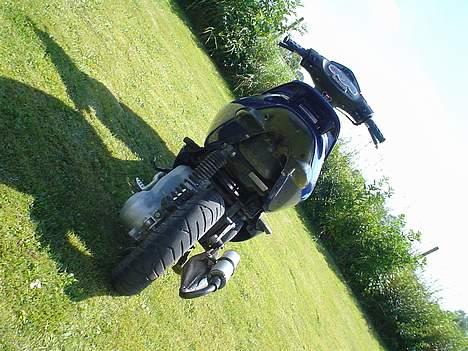 Aprilia Sonic GP billede 6