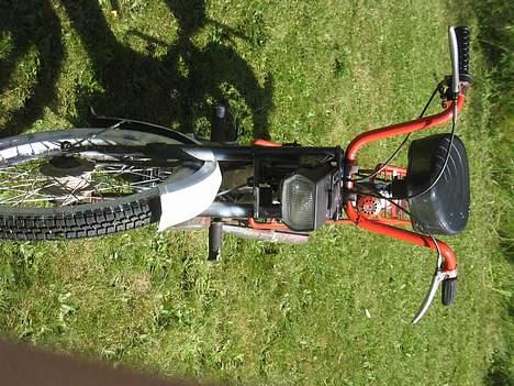 Puch Maxi  billede 4