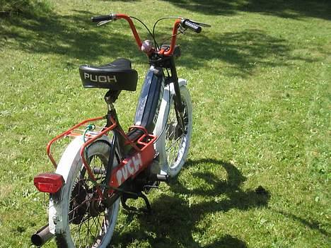 Puch Maxi  billede 5