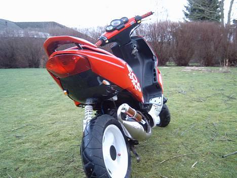 Peugeot Speedfight2 Wrc 206 Solgt - BCD Carbon! billede 3