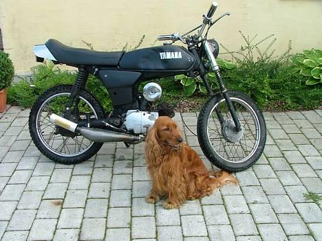 Yamaha Fs-1 4 gear Solgt - Her er så min Yamse...! og min søde hund!.. billede 1