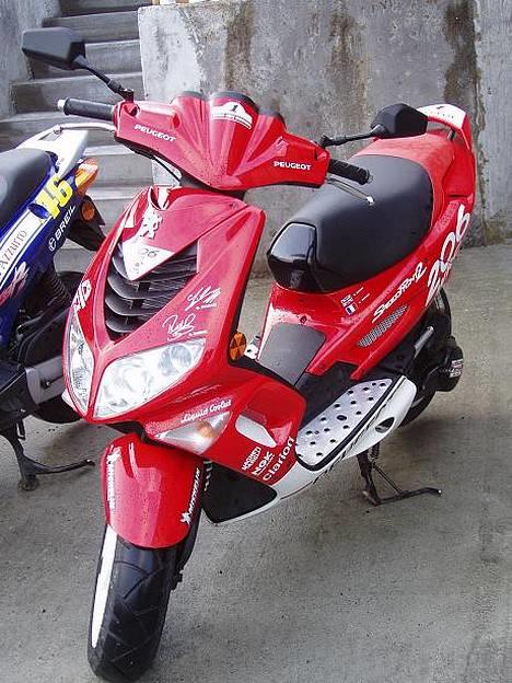 Peugeot Speedfight  WCR 206 billede 1