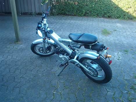 Sachs madass billede 1