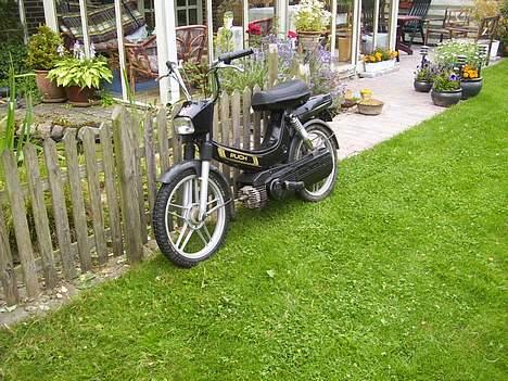 Puch Maxi plus SOLGT billede 2