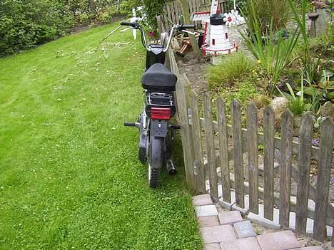 Puch Maxi plus SOLGT billede 3