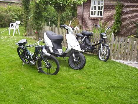 Puch Maxi plus SOLGT billede 6