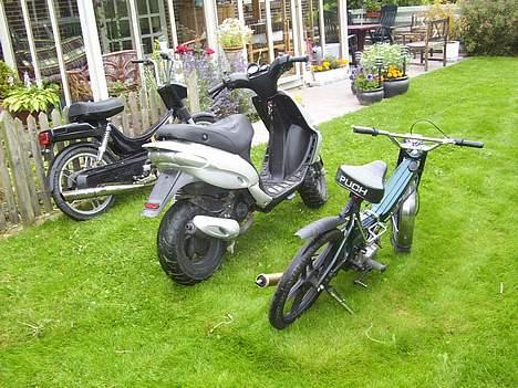 Puch Maxi plus SOLGT billede 7