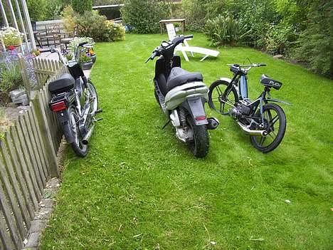 Puch Maxi plus SOLGT billede 8