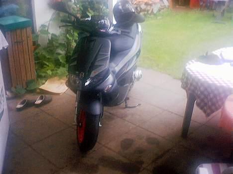 Gilera Runner 50SP - Her er baben så.. 4 dage gammel.. Er den ikke smuk? :P billede 1