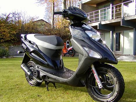 Honda sfx billede 5