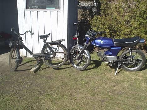 Puch  MONZA 3G (byttet) - billed af min motor billede 6