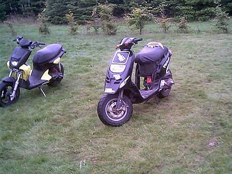 Piaggio typhoon ((SOLGT)) billede 2