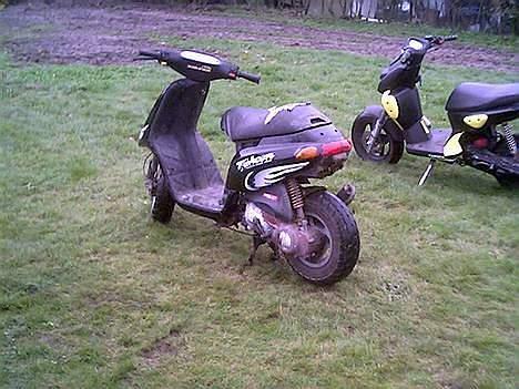 Piaggio typhoon ((SOLGT)) billede 4