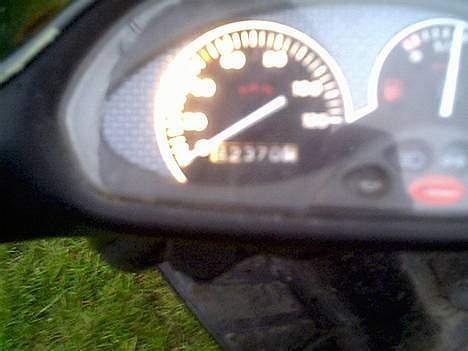 Piaggio typhoon ((SOLGT)) billede 6