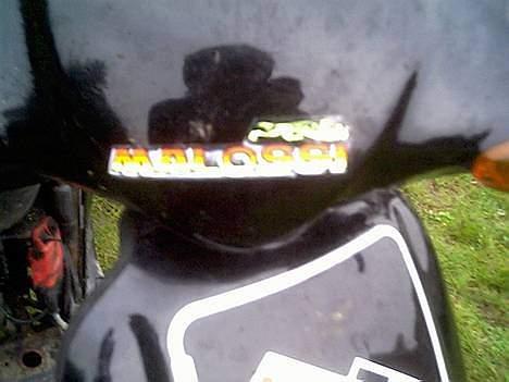 Piaggio typhoon ((SOLGT)) billede 7