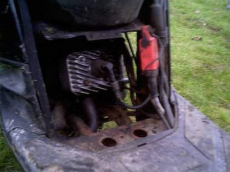 Piaggio typhoon ((SOLGT)) billede 8