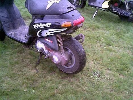 Piaggio typhoon ((SOLGT)) billede 9