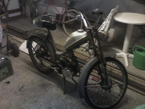 Sco Populær billede 3