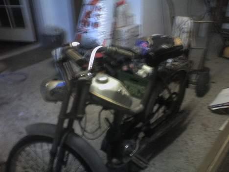 Sco Populær billede 4